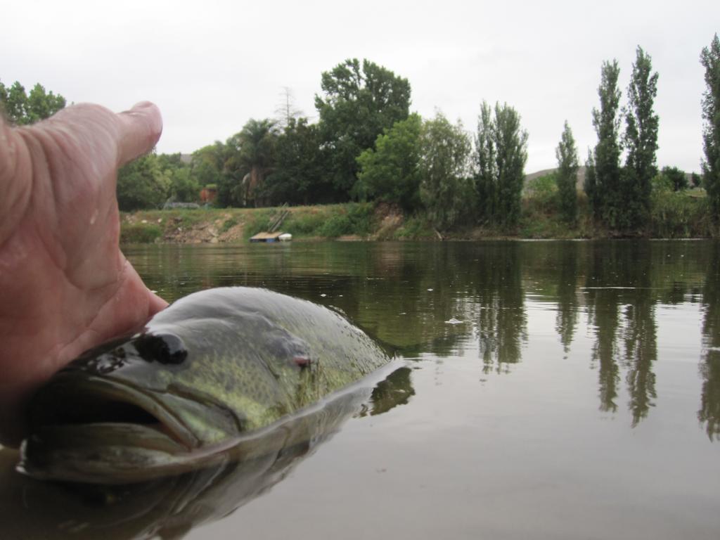 Bonnievale River Lodge Екстер'єр фото